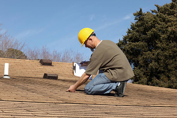 Best Roof Moss and Algae Removal  in Kihei, HI